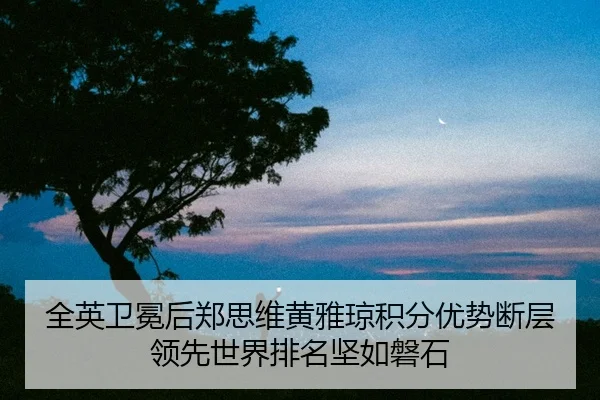quan-ying-wei-mian-hou-zheng-si-wei-huang-ya-qiong-ji-fen-you-shi-duan-ceng-ling-xian-shi-jie-pai-ming-jian-ru-pan-shi-2-385.jpg