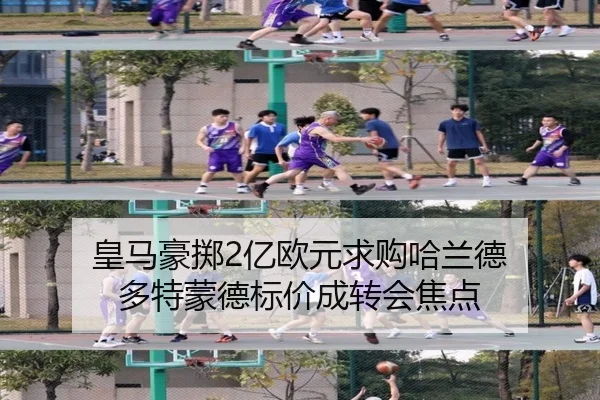 皇马豪掷2亿欧元求购哈兰德 多特蒙德标价成转会焦点