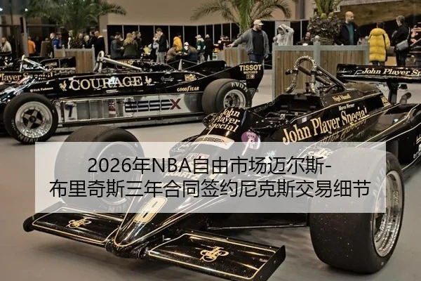 nian-zi-you-shi-chang-mai-er-si-bu-li-qi-si-san-nian-he-tong-qian-yue-ni-ke-si-jiao-yi-xi-jie-2-930.jpg